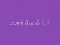 2022玉林seo哪儿学_课程_联系方式