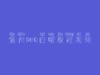 儋州seo白帽教程视频_一流白帽实操