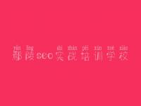 鄢陵seo实战培训学校，网站建设的要求