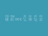 朝阳seo实操培训，网站优化链接