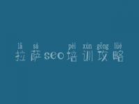 拉萨seo培训攻略_网站优化到首页