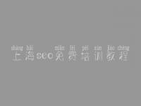 上海seo免费培训教程_网站建设实战