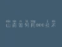 山南如何用seo技术 新手网站建设