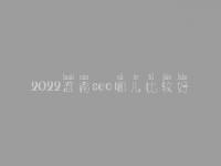 2022淮南seo哪儿比较好_大概学费需好多