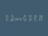 芜湖seo培训怎样 网站免费优化