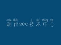 潮州seo技术中心，网站平台建设方案