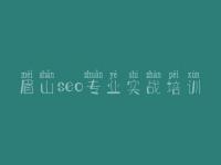 眉山seo专业实战培训 标准网站建设