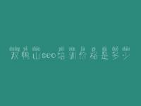 双鸭山seo培训价格是多少_网站建设推广