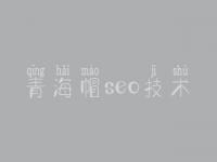 青海帽seo技术，seo使用教程