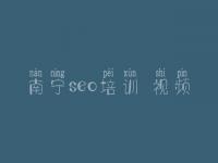 南宁seo培训 视频，网页建设方案