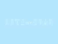 来宾专业seo培训机构_网站建设的