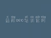 益阳seo培训官网，网站优化检测