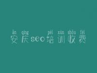 安庆seo培训收费，优化网站方法
