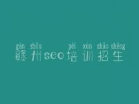 赣州seo培训招生 网站建设又叫什么