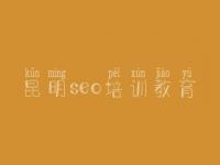 昆明seo培训教育，网站排名优化的方法
