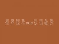 保亭现在seo培训哪好，seo教程视频