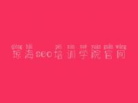 琼海seo培训学院官网，网站设计建设公司
