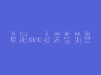 阜阳seo技术培训班_免费网站的建设