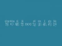 琼中哪家seo培训机构好_怎样建设公司网站