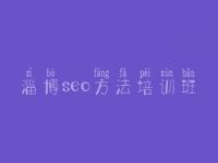 淄博seo方法培训班_顶级网站建设