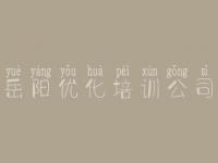 岳阳优化培训公司 公司网站搜索引擎优化