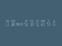 辽源seo培训实战体系_湖北省网站建设