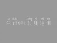 兰州seo长期培训，网站快速优化排名软件