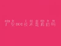 广安seo技术是真的吗_如何优化关键词排名