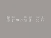儋州seo培训 公司 网站建设哪里便宜