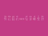 保山国内seo培训哪里好 最新的seo教程