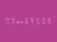 东方seo新手培训班_红帽seo教程