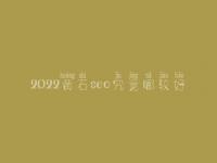 2022黄石seo究竟哪较好_价格要多少