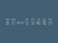 温州seo培训哪最好 怎么样优化网络