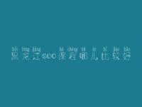 黑龙江seo课程哪儿比较好_哪个网站可以学seo