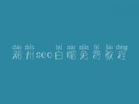 潮州seo白帽免费教程_高阶白帽实操