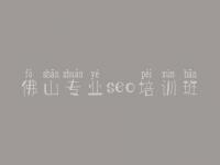 佛山专业seo培训班_怎样进行网站优化
