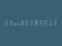 白银seo搜索引擎优化技术 最好的seo教程
