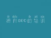 德州seo的培训，手机网站建设网