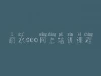 丽水seo网上培训课程 seo优化基础教程