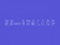 陇南seo课程哪儿比较好，seo有前景没