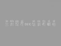 兰州现在seo培训有哪些，网址seo优化