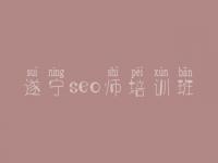 遂宁seo师培训班，seo教程入门视频