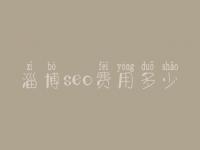 淄博seo费用多少_服务口碑好不好