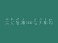 黑河暑期seo培训机构 达内seo视频教程