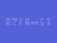 阳江灰帽seo培训 网站优化和推广