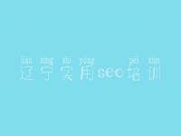 辽宁实用seo培训_网站建设建网站