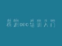 株洲seo培训入门_seo优化注意什么