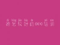 德宏较好的seo培训_哪家建设网站