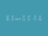 果洛seo培训 价格，网站后台优化