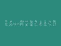 北海seo网站建设哪里较好，seo前景怎么样